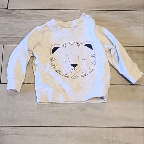Carter's Other - 💐Carters Baby tiger sweatshirt🍉🎠 🌸 🍀 ❄️ 🏵💫🎀🦄🪻🍍🍓🦉🐧💘